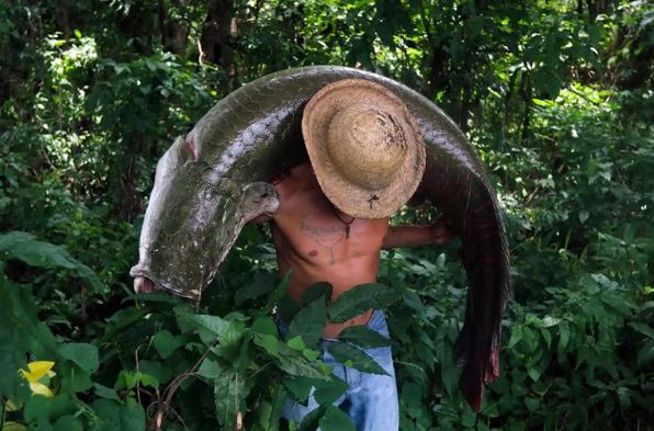 Miền Tây Amazon hoang dã: Vùng đất mang lại nguồn tiền 'khủng' nhưng cuộc sống 'rẻ mạt'