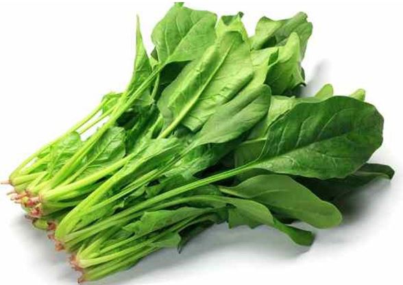 Không muốn bị thiếu máu thì ăn thực phẩm này