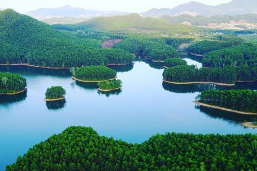 Mấy ai biết ở Đà Nẵng có 1 thảo nguyên xinh đẹp chỉ xuất hiện một lần trong năm