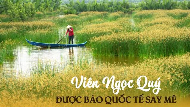 1 nơi ở Việt Nam được chuyên trang du lịch quốc tế gọi là "Viên ngọc quý": Niềm mơ ước của người mê sinh thái