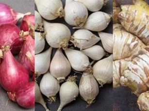 Cách bảo quản hành, tỏi, gừng, khoai tây cả năm không nảy mầm, vẫn tươi ngon
