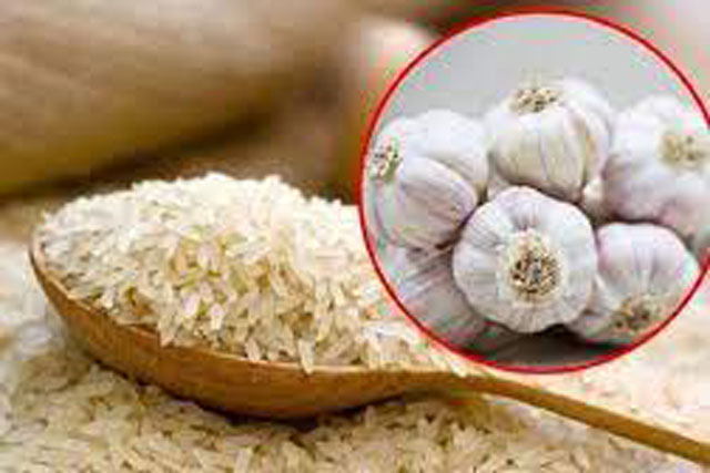 Vùi tỏi vào thùng gạo: Lợi ích bất ngờ, giải quyết vấn đề nhiều nhà gặp phải