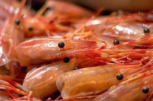 Những bộ phận 'cực độc' của tôm chứa đầy ký sinh trùng, thèm đến mấy cũng đừng nên ăn