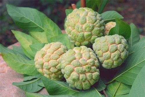 Những 'đại kỵ' khi ăn na, biết mà tránh khi ăn kẻo 'ân hận mấy cũng muộn' ảnh 2