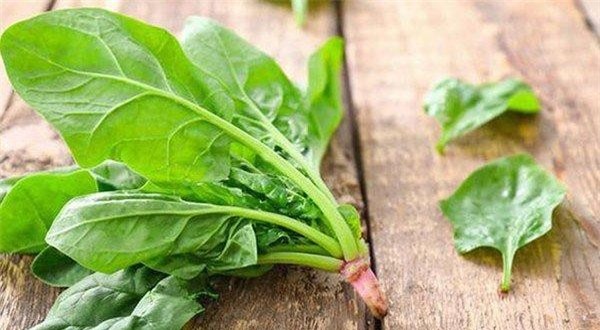 'Siêu thực phẩm’ rau chân vịt rất bổ dưỡng nhưng cũng có thể gây nên sỏi thận, giảm hấp thụ canxi ảnh 2