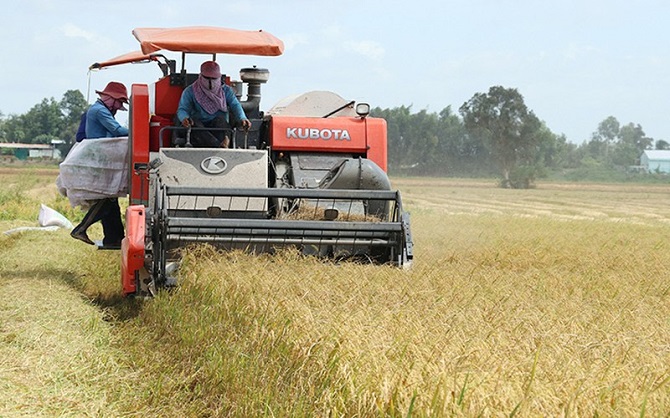 Đồng bằng sông Cửu Long: Cơ giới hóa đồng bộ hướng tới mục tiêu trung tâm chế biến nông sản, phát triển bền vững