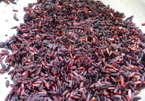 Tác dụng không ngờ của gạo nếp cẩm bạn chưa biết
