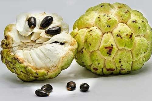 Những 'đại kỵ' khi ăn na, biết mà tránh khi ăn kẻo 'ân hận mấy cũng muộn'