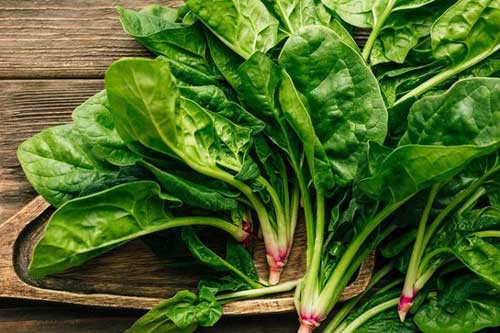 'Siêu thực phẩm’ rau chân vịt rất bổ dưỡng nhưng cũng có thể gây nên sỏi thận, giảm hấp thụ canxi