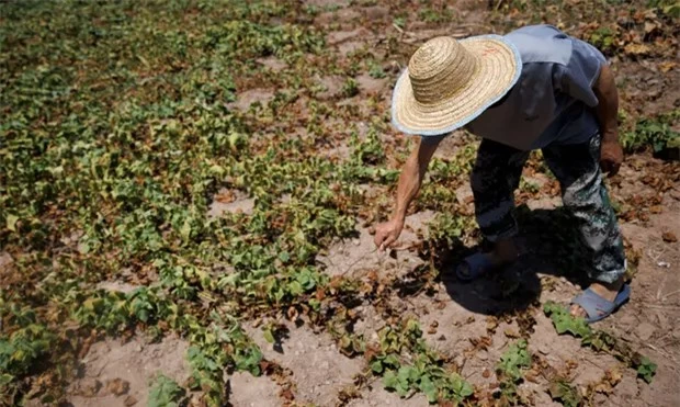 Hạn hán nghiêm trọng khiến bức tượng Phật bằng đá lớn nhất thế giới lộ diện hoàn toàn  - Ảnh 3.