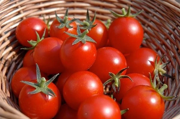 Những sai lầm tai hại khi ăn cà chua có thể khiến bạn ngộ độc, suy giảm chức năng thận ảnh 2