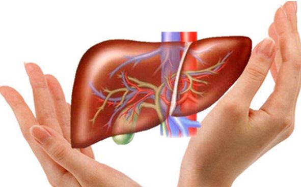 4 cách đơn giản giúp bảo vệ lá gan của bạn