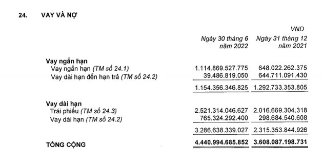 Nợ vay của Nam Long Group tăng mạnh trong 6 tháng đầu năm.