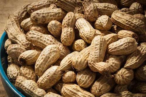 Những người không nên ăn lạc kẻo 'ân hận mấy cũng muộn'