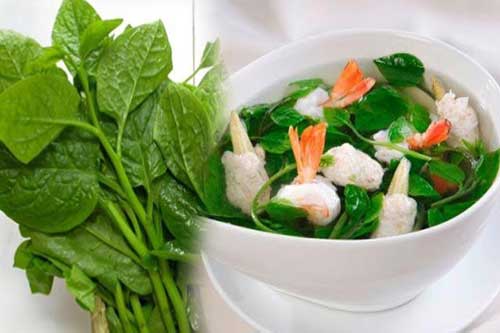 Mùa hè ăn rau mùng tơi thế này chẳng khác nào ‘thuốc độc’, cần biết để tránh