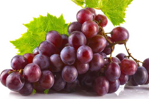 Những thực phẩm ‘đại kỵ’ tuyệt đối không ăn chung với quả nho