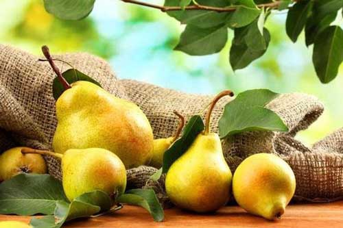 Quả lê mát lành cũng có thể khiến bạn sinh bệnh nếu kết hợp với những thực phẩm đại kỵ sau