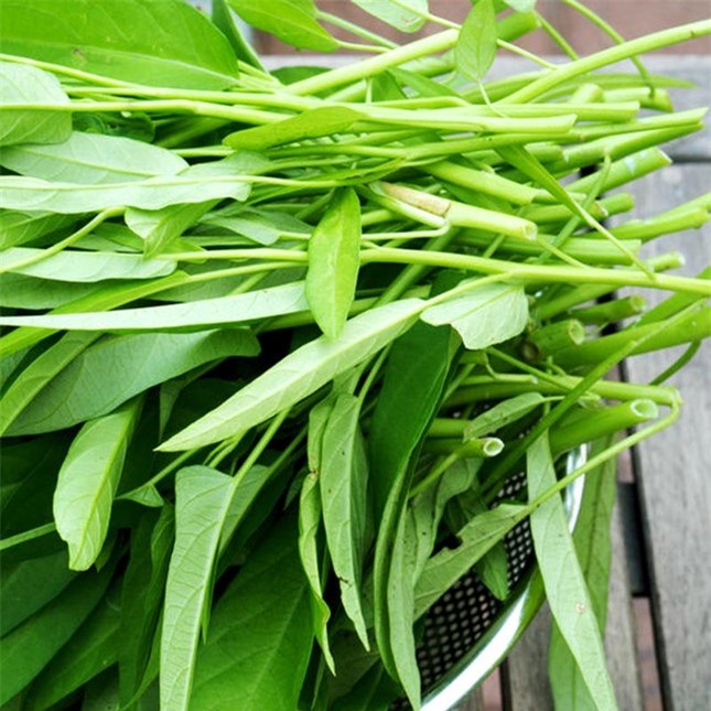 Những đại kỵ nguy hiểm khi ăn rau muống cần bỏ ngay kẻo 'đầu độc' cơ thể ảnh 4