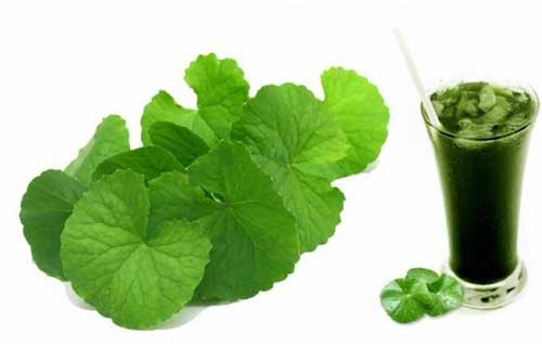 Nước rau má giải nhiệt mát lành cũng có thể hóa ‘thuốc độc’ nếu uống theo cách này