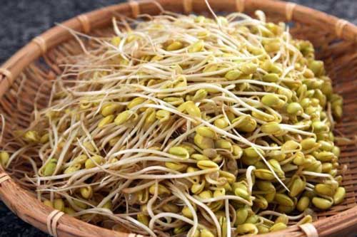 Những đại kỵ khi ăn giá đỗ, cần tuyệt đối tránh