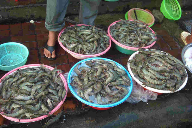 Mua tôm phải cẩn thận 4 dấu hiệu này, đừng ham rẻ kẻo lỗ nặng