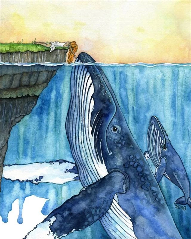 Đáng sợ là vậy, nhưng cá voi sát thủ lại chịu thua trước những &quot;thần hộ mệnh&quot; to lớn, hiền hòa này của đại dương - Ảnh 1.