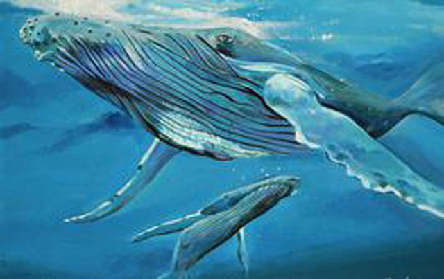 Thiện chiến là vậy, nhưng cá voi sát thủ lại chịu thua trước những "thần hộ mệnh" to lớn, hiền hòa này của đại dương