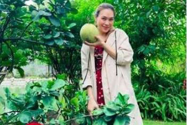 Mỹ Tâm chính thức lên tiếng khi bị nghi mang bầu vì diện váy áo lùm xùm