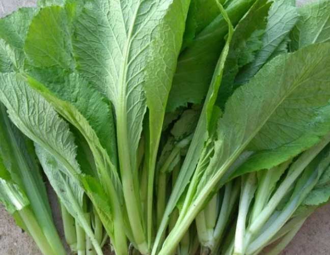 6 loại rau là 'khắc tinh' của bệnh đau dạ dày, dần dần không cần uống thuốc