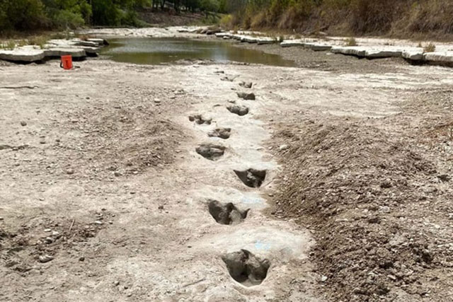 Hồ cạn trơ đáy để lộ dấu chân khủng long niên đại 113 triệu năm