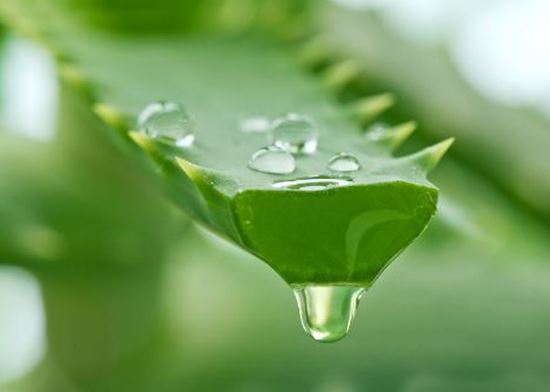 Thực phẩm giúp vòng 1 săn chắc, căng đầy