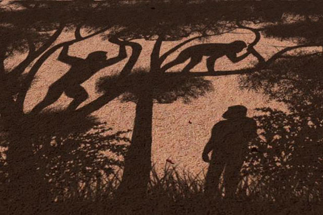 Hài cốt người 7 triệu tuổi mang đột phá tiến hóa, viết lại lịch sử