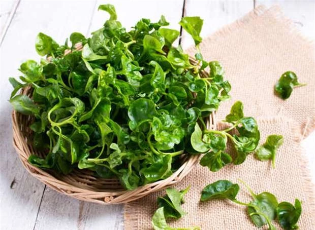5 loại rau xanh tốt nhất để giảm mỡ bụng và chống lão hóa - Ảnh 4.