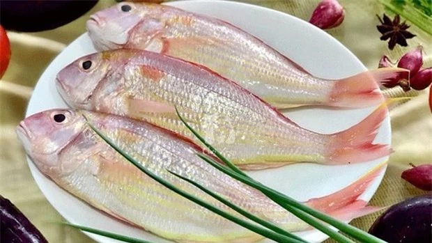 Cá rất ngon bổ nhưng có 4 loại không nên ăn vì chứa hàm lượng thủy ngân cao, dễ gây ngộ độc và ung thư - Ảnh 1.