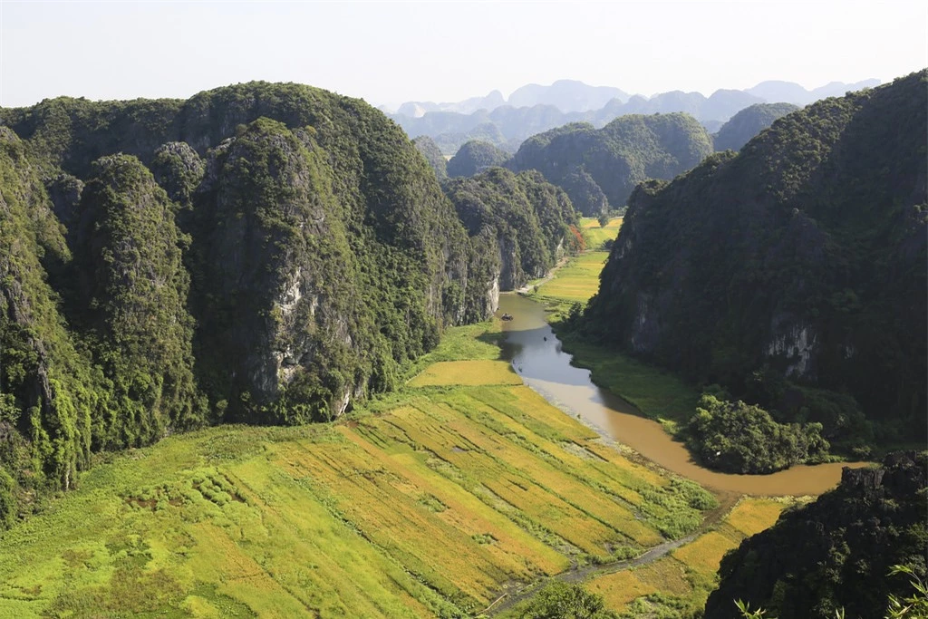 Nhìn từ đỉnh núi Múa, Tam Cốc trải vàng một màu lúa chín giữa nắng hè. Những ruộng lúa như khoác lên một bộ cánh rực rỡ giữa vùng núi đá cố đô đem tới một vẻ đẹp thực sự ấn tượng.