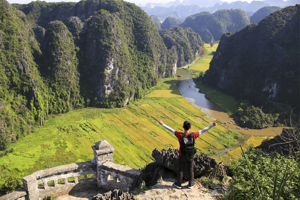 Để ngắm trọn vẹn khung cảnh tuyệt đẹp của vùng Tam Cốc mùa lúa chín cũng như có những khung hình ấn tượng nhất thì địa điểm chính là đỉnh núi Múa của khu hang Múa.