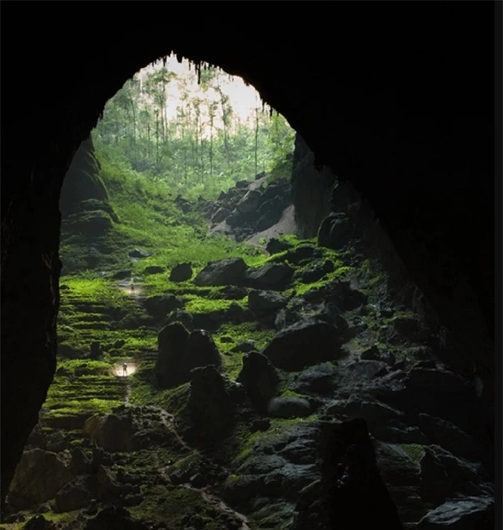 Vẻ đẹp của hang Sơn Đoòng qua ống kích nhiếp ảnh gia Thụy Sĩ - Ảnh 7
