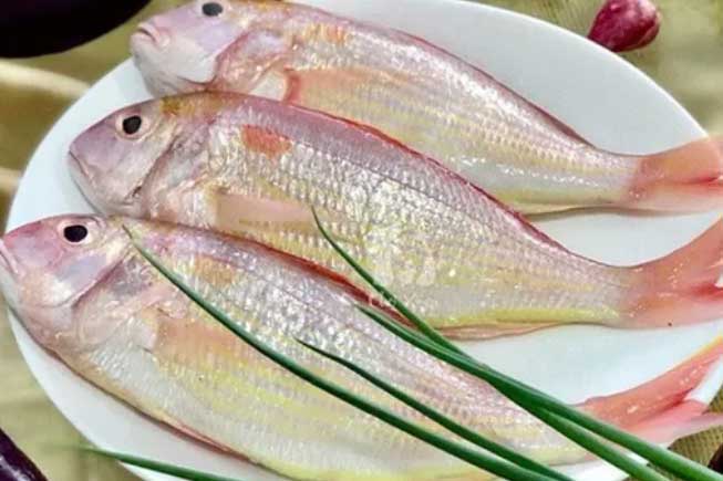 Cá rất ngon bổ nhưng có 4 loại không nên ăn vì chứa hàm lượng thủy ngân cao, dễ gây ngộ độc và ung thư