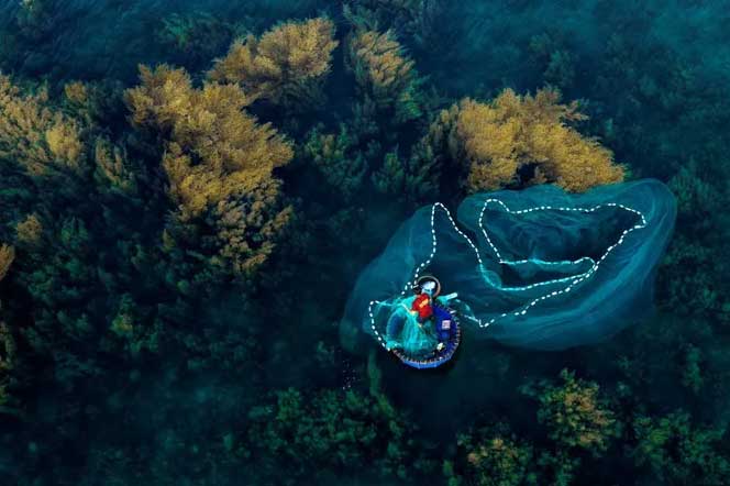 Mùa rong biển tựa cánh đồng dưới nước ở Quy Nhơn