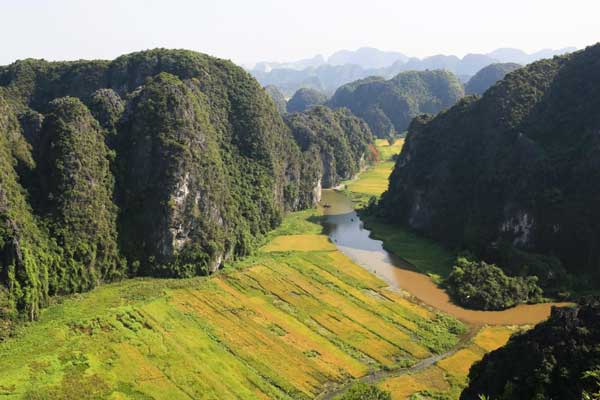 Đẹp nao lòng mùa lúa chín vùng Tam Cốc