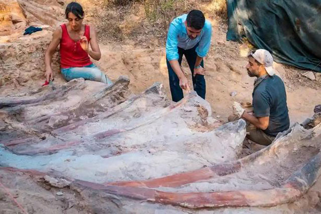 Khủng long lớn nhất thế giới "trỗi dậy" trong vườn nhà