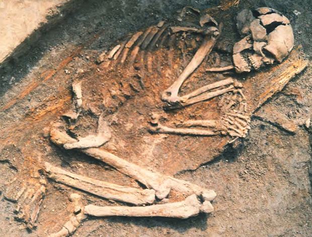 Thêm nghiên cứu xác định tổ tiên của những người đầu tiên làm nông nghiệp