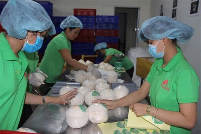 Nông sản Việt ghi dấu ấn thương hiệu trên trường quốc tế - Ảnh 1.
