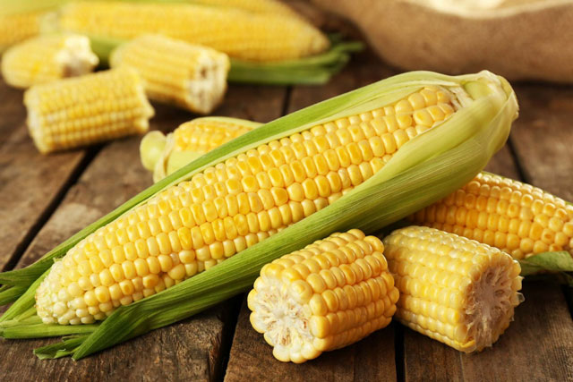 Ngô tươi mua về để ngăn mát hay ngăn đá mới đúng? Mẹ đảm chỉ cách bảo quản để nấu kiểu gì cũng ngon