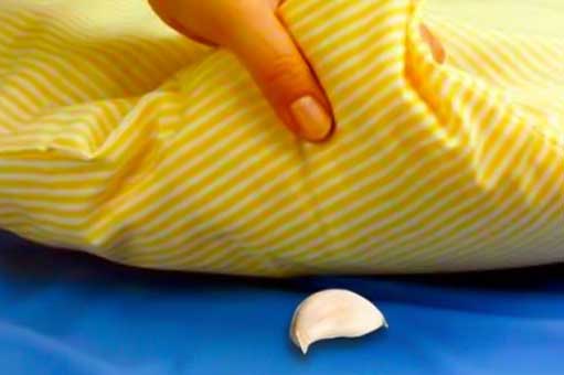 Đặt nhánh tỏi dưới gối trước khi đi ngủ: Giúp khí huyết lưu thông, trị mất ngủ, tác dụng khiến ai cũng bất ngờ