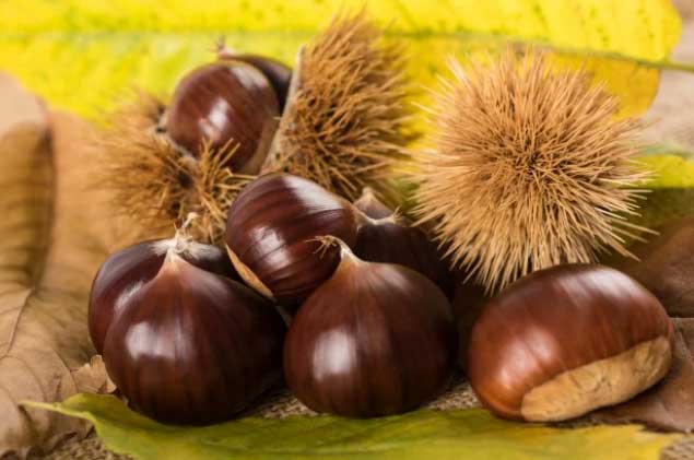 Loại thực phẩm được mệnh danh là "vua của các loại quả khô", phòng ngừa nhiều bệnh