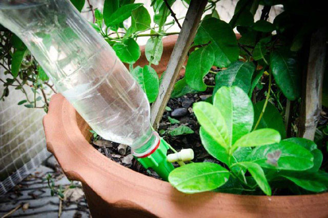 Đem rượu trắng đi lau dọn nhà cửa, công dụng hữu ích ai cũng bất ngờ