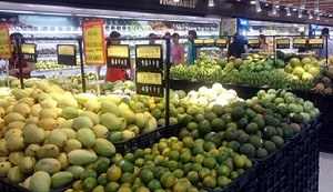 Khuyến khích doanh nghiệp Hàn Quốc đầu tư sản xuất nông sản tại Việt Nam