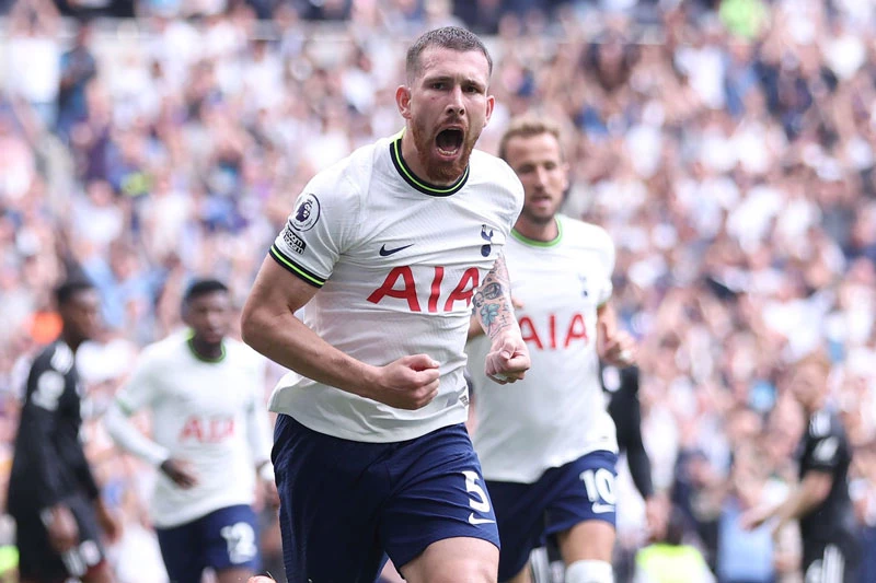 Tiền vệ trung tâm: Pierre-Emile Hojbjerg (Tottenham).