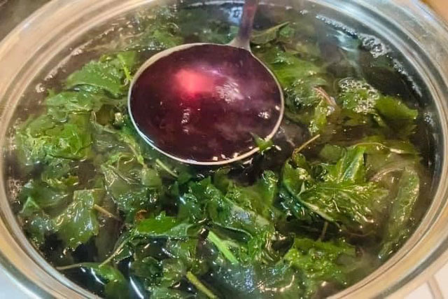 Uống nước lá tía tô cho thêm một giọt này là lợi ích gấp 10, lọc sạch cặn bẩn trong người